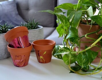 Jak proměnit klasický květináč v DIY kousek