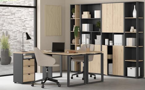 Pracovna a kancelář