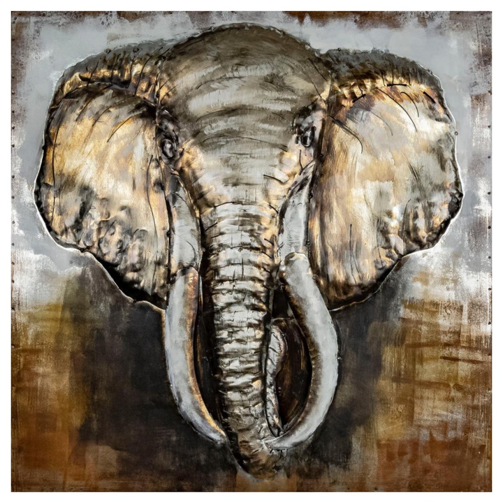 Kovový obraz ANIMAL XXVI 80x80 cm 1