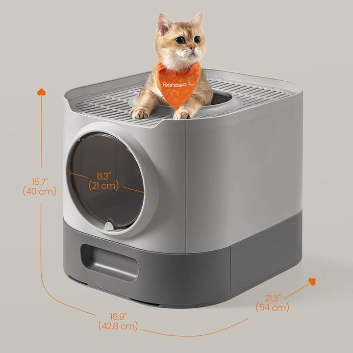 Rozměry