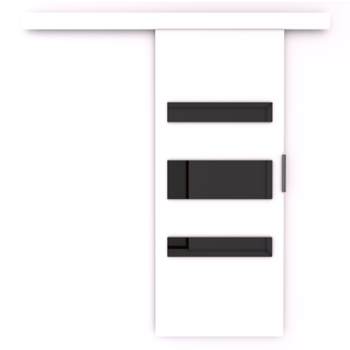 Posuvné dveře DESIO 106 bílá/černá, 106x205 cm 1