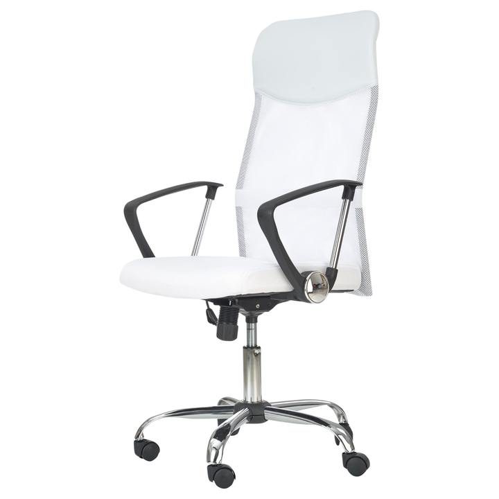 Sconto Kancelářská židle EMILIA bílá