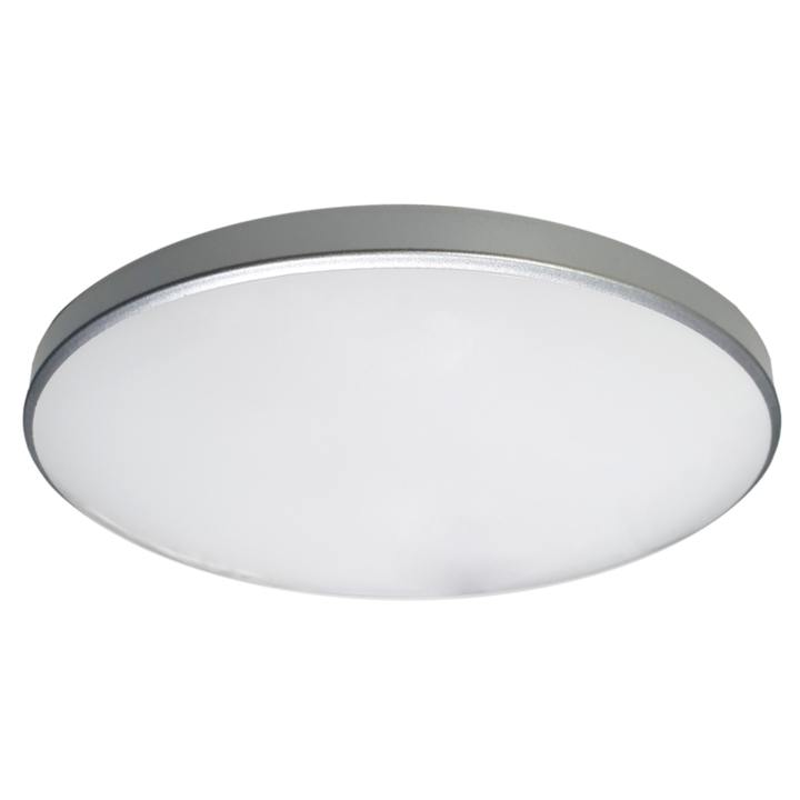 Sconto Stropní svítidlo ESLA bílá/stříbrná, průměr 25 cm