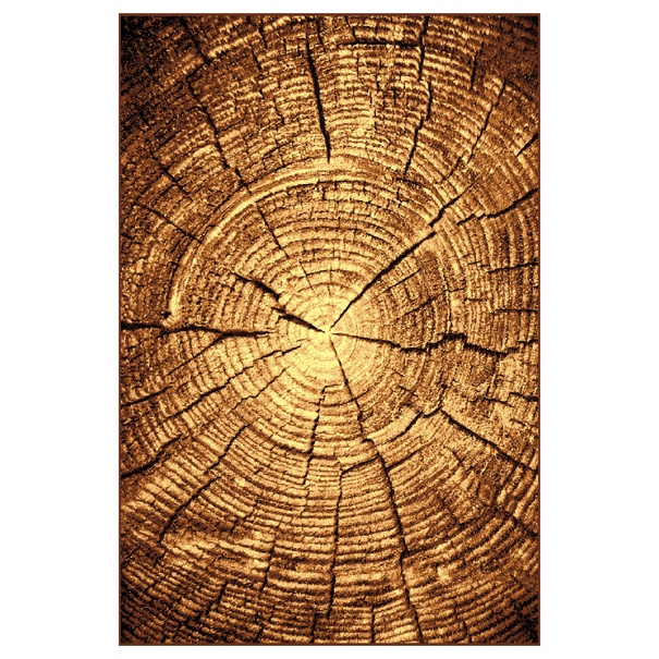 Koberec GOLD hnědý pařez, 80x150 cm 1