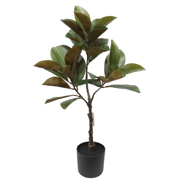 Sconto Umělá květina v květináči magnolie MAEVE zelená, výška 95 cm