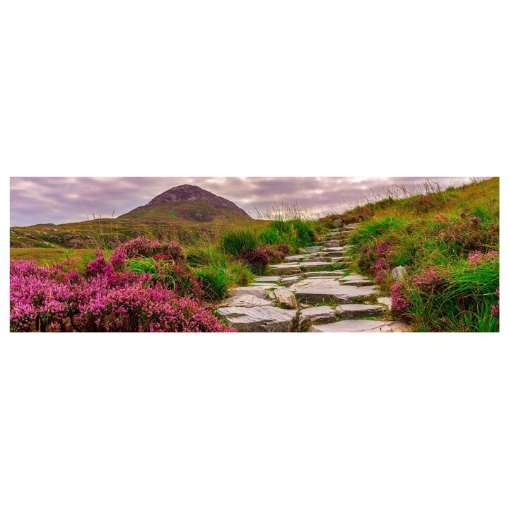 Sconto Obraz na plátně MOUNTAIN III 90x30 cm