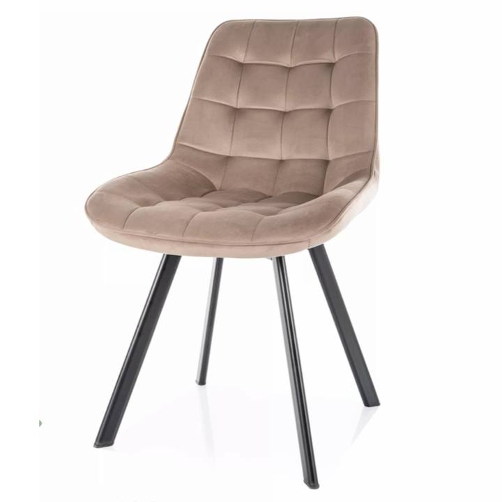 Sconto Jídelní židle MUNTA tmavě béžová