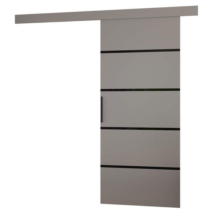 Sconto Posuvné dveře MUSCHU šedá/černá, 86x205 cm