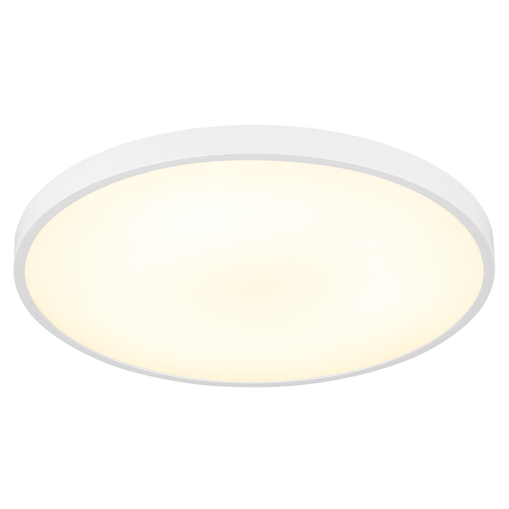 Sconto Stropní svítidlo NIELSEN bílá, ⌀ 23 cm