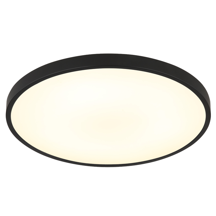 Sconto Stropní svítidlo NIELSEN černá/bílá, ⌀ 23 cm