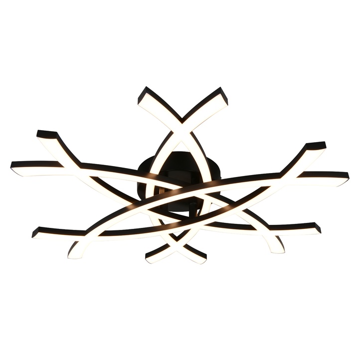 Stropní svítidlo POLLOCK 2 černá/bílá 1