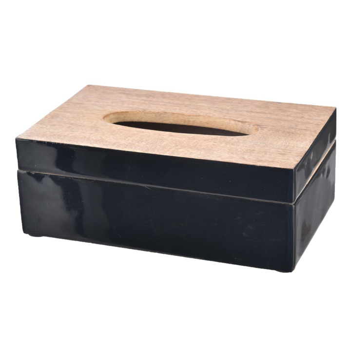 Sconto Box na papírové kapesníky REGINALD mango/smalt