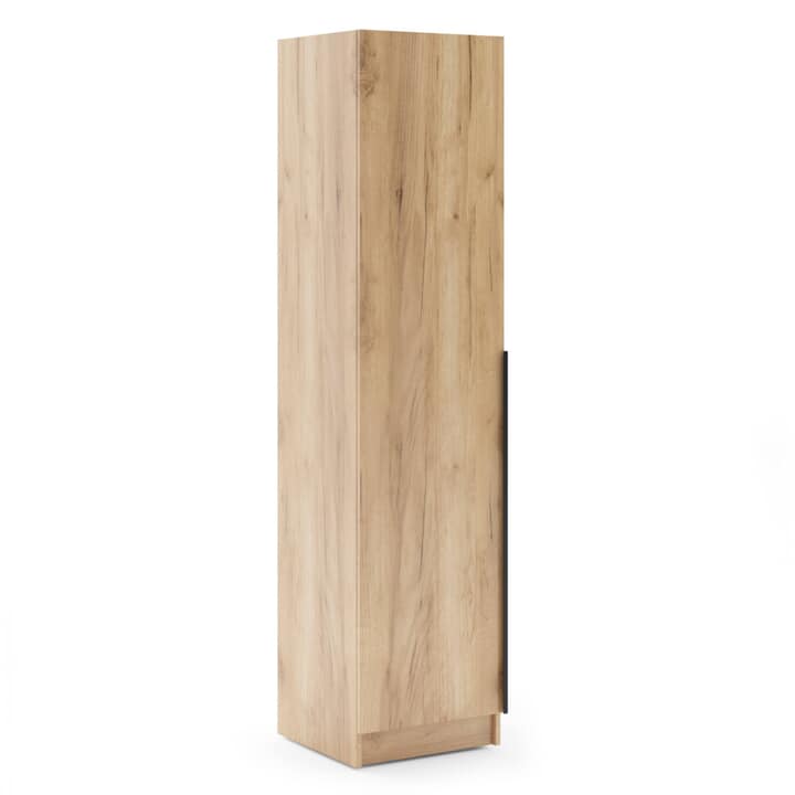 Šatní skříň RIVA 50 dub craft zlatý, výška 215 cm, hloubka 61 cm 1