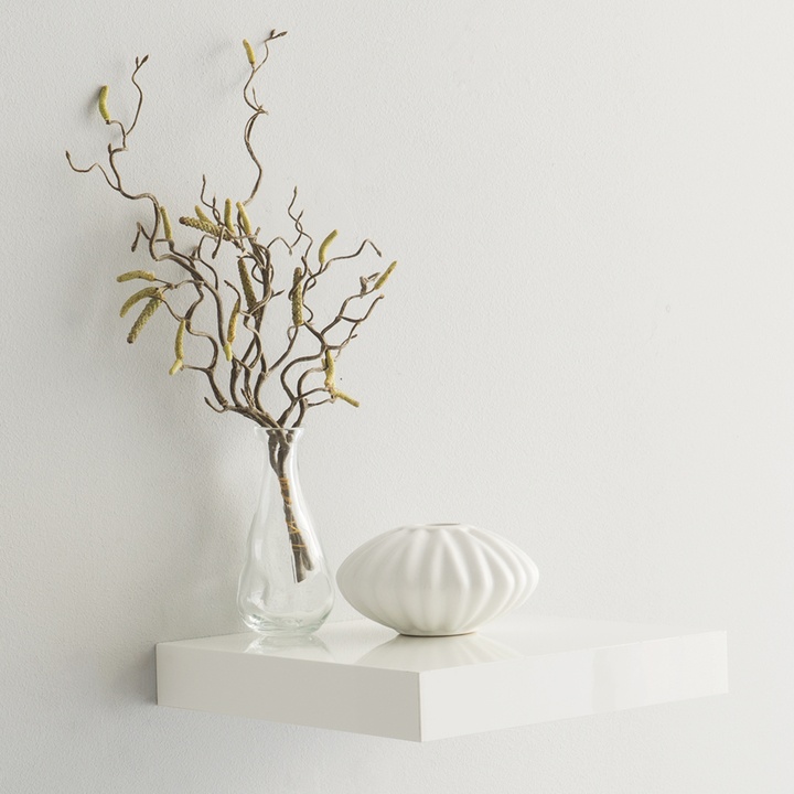 Sconto Nástěnná police SHELVY bílá vysoký lesk, šířka 24 cm