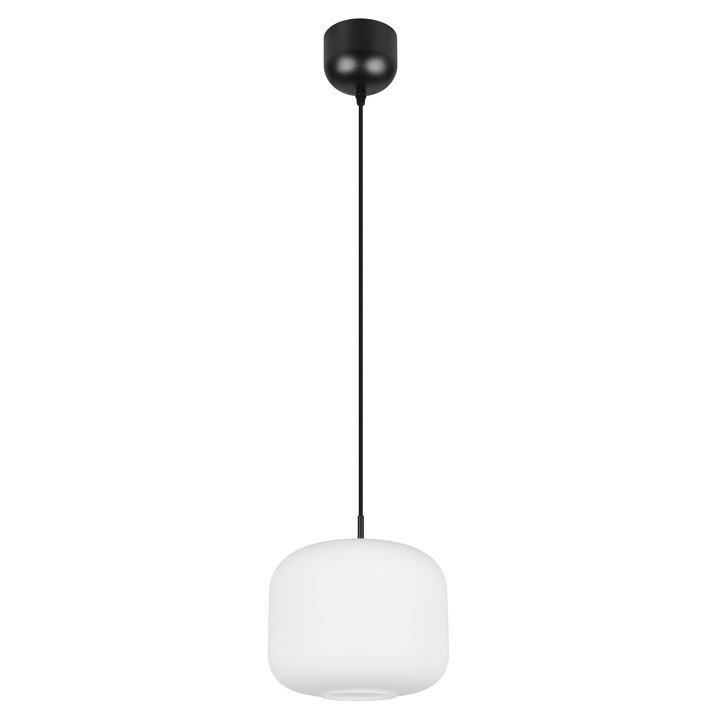 Závěsné svítidlo SIGNE bílá/černá, průměr 25 cm 1