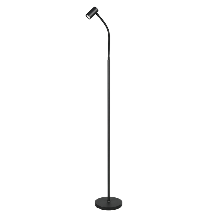 Sconto Stojací lampa TARYN černá