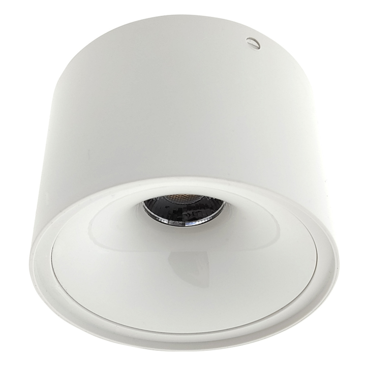 Sconto Stropní svítidlo TRIXLINE bílá