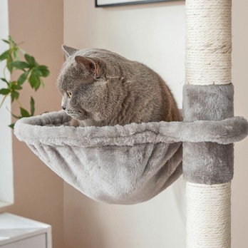 Kočičí škrabadlo ACADEMIA světle šedá 4