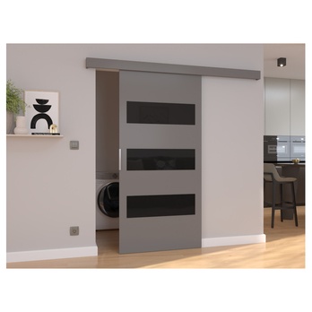 Posuvné dveře ARES 86 šedá/černá, 86x205 cm 1