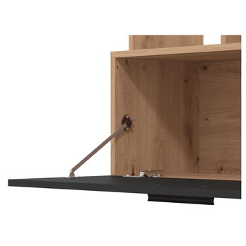 Obývací stěna  BRIGHAM dub artisan/černá 3