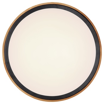 Stropní LED svítidlo BRUNO černá/dřevo 5