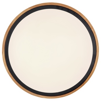 Stropní LED svítidlo BRUNO černá/dřevo 5