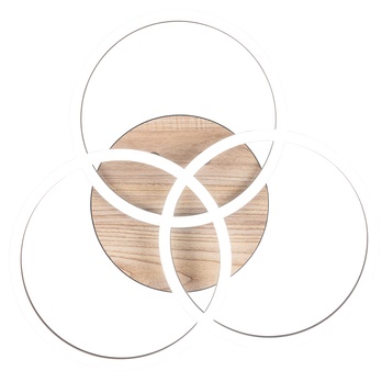 Stropní LED svítidlo CIRCLE černá/přírodní 11