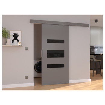 Posuvné dveře DESIO 96 šedá/černá, 96x205 cm 1