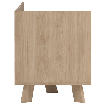 TV komoda DIGBY 1 bílá/dub jackson hickory 6