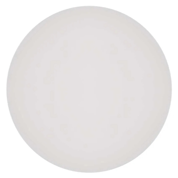 Stropní koupelnové svítidlo DIONI bílá, průměr 28 cm 2