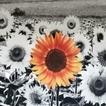 Povlečení 3D DUAL 70x90 a 140x200 cm 2