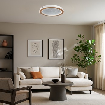 Stropní svítidlo EFRAEL zlatá/průhledná 1