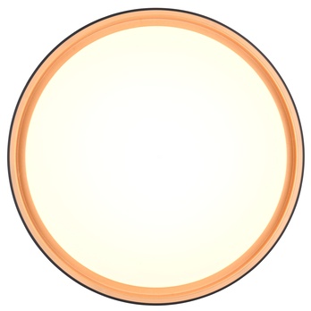 Stropní LED svítidlo FELIS černá/zlatá 6