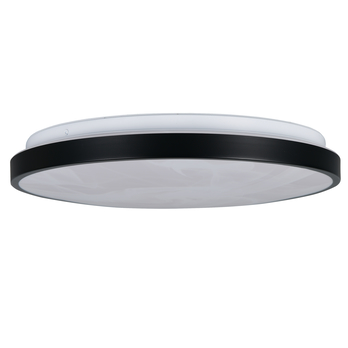 Koupelnové stropní LED svítidlo FENA černá 5