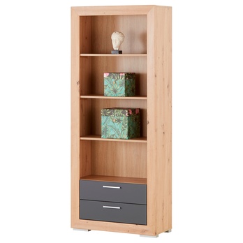 Regál FERNANDO T3 dub artisan/matná šedá 2