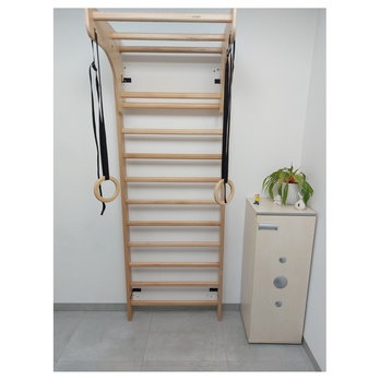 Gymnastické kruhy FITHOME 1 bříza/černá 1
