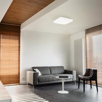 Stropní LED svítidlo FRANIA bílá 1