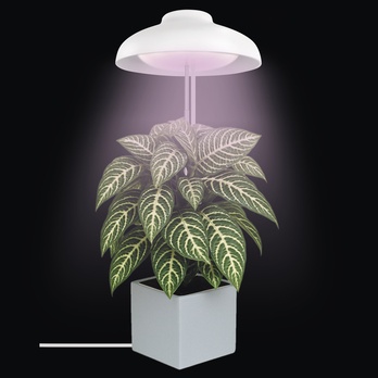 Pěstební lampa GROW Z7901 bílá 1