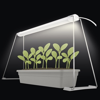 Pěstební lampa GROW Z7903 bílá 1