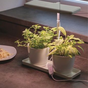 Pěstební lampa GROW Z7904 bílá 1