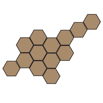Set dekorativních obkladových panelů HEXAGON dub, 6 ks 2