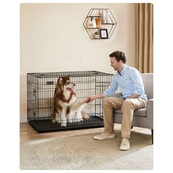 Přepravní box HUSKY 2 černá 1