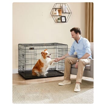 Přepravní box HUSKY černá 1