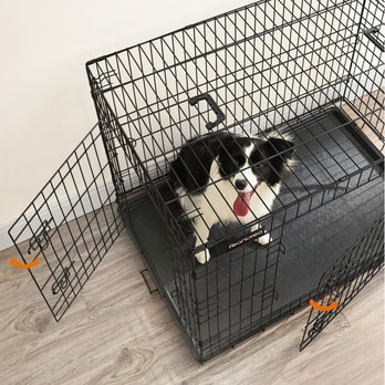 Přepravní box HUSKY černá 2