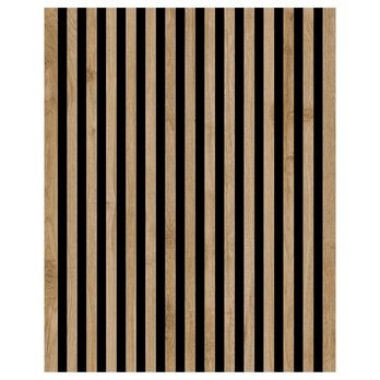 Obývací stěna INFINITY C216 křídová/dub cadiz 6