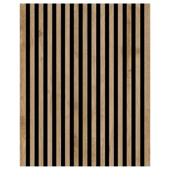 Obývací stěna INFINITY C217 bílá lesklá/dub cadiz 7