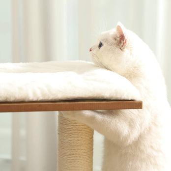 Kočičí škrabadlo KATTY III hnědá/bílá 5