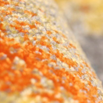 Koberec KOLIBRI 3 vícebarevná, 120x170 cm 2