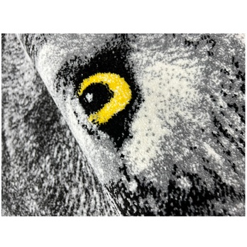 Koberec KOLIBRI 5 vlk šedý, 120x170 cm 2