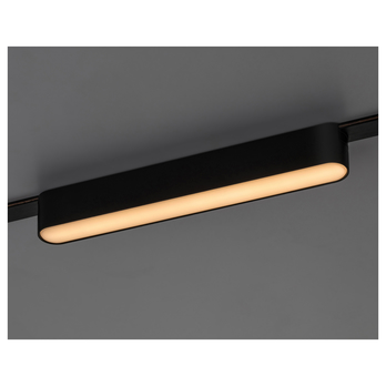 Stropní svítidlo pro kolejnicový systém LITRACK LINE 70101 černá, LED, 12W, teplá bílá 1